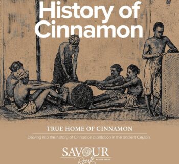 118976198_179181483732331_5644276474440506080_o 118976198_179181483732331_5644276474440506080_o