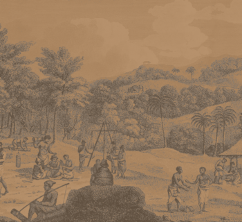 History of Cinnamon Option 01 copy History of Cinnamon Option 01 copy