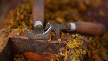 Manilka Jayasingha2020_09_041886 Manilka Jayasingha2020_09_041886